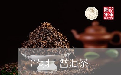 冯羽 普洱茶/2023042722986